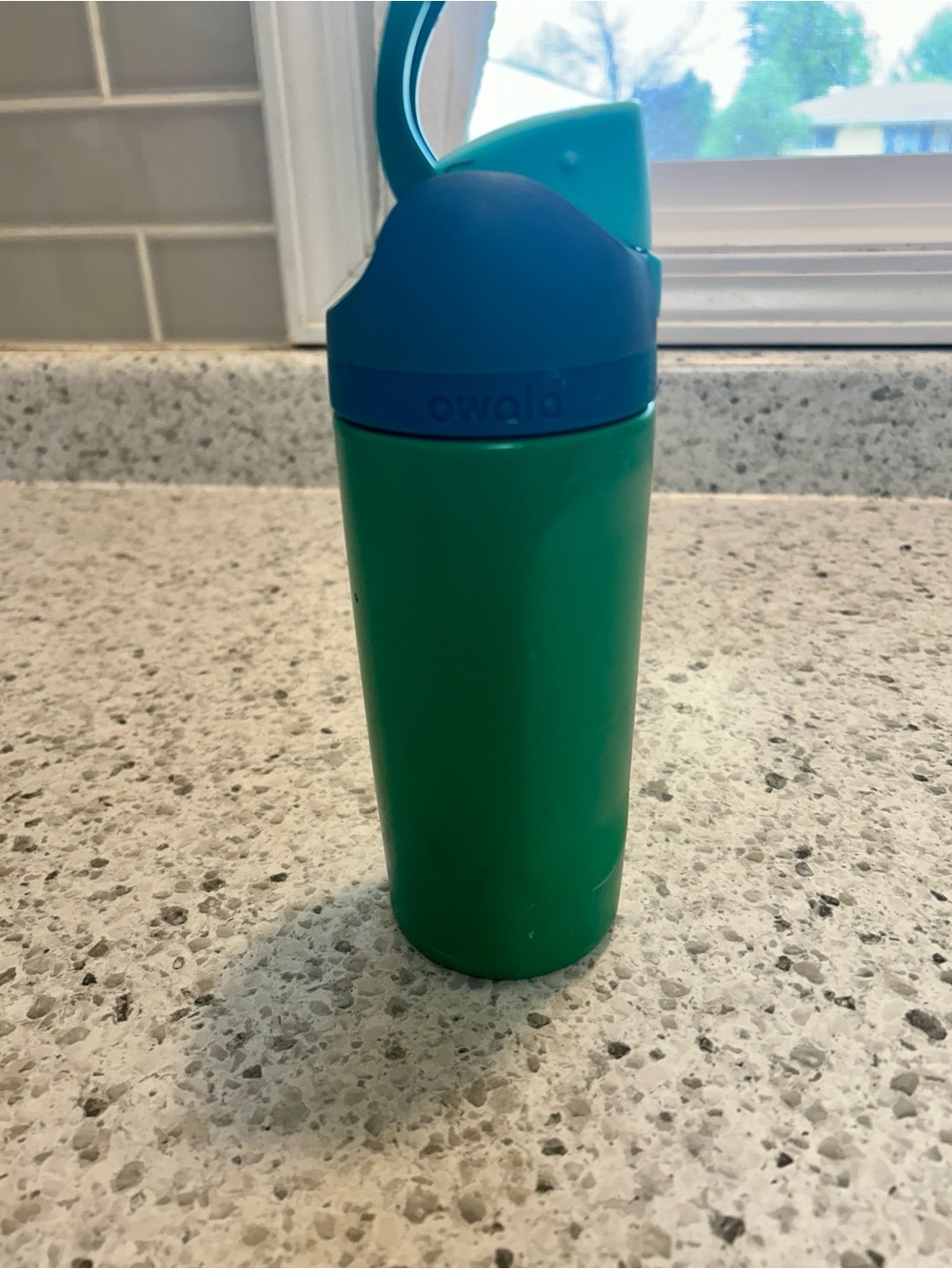 Owala Kids Water Bottle in Green with Blue Lid